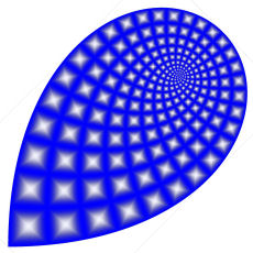 Empower Girls Through Math